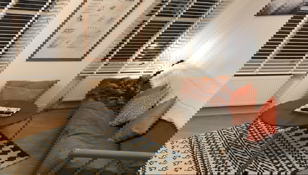 Brondesbury Arms - Foto 1, Immagine principale