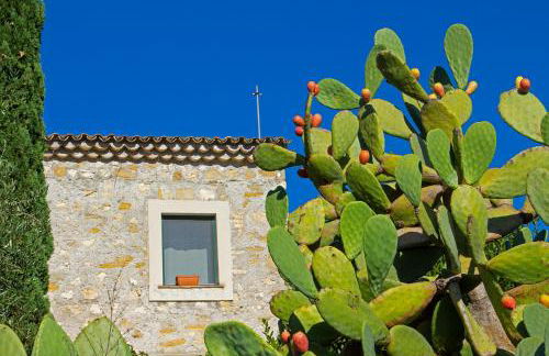 Limosa Country House - Photo 32