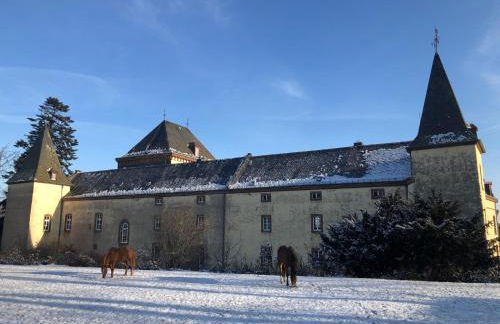 L' Extravagante im Garten von Schloss Schmidtheim - Foto 16