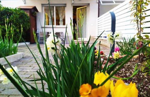 BHH Appartamento Signorini Bologna -wwwbolognaholidayhomecom- Parcheggio Riservato e Giardino - Holiday House Bologna Garden Parking - Foto 42