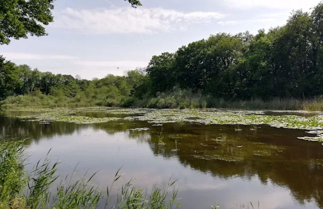 Restful Holiday Home in Kalkhorst near Beach & City Center - Foto 52