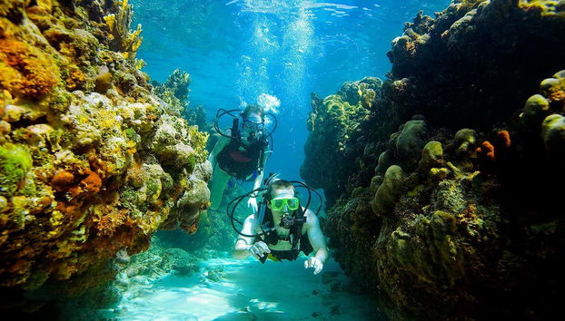 Arraial do Cabo Diving Introduction - Foto 3