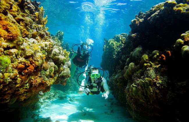 Arraial do Cabo Diving Introduction - Photo 3