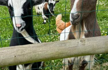 WildView Cosy Glamping with Outdoor Bath and stunning scenery - Foto 27
