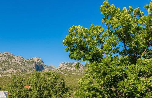 Villa ZORA, Starigrad Paklenica, Seline - Foto 32