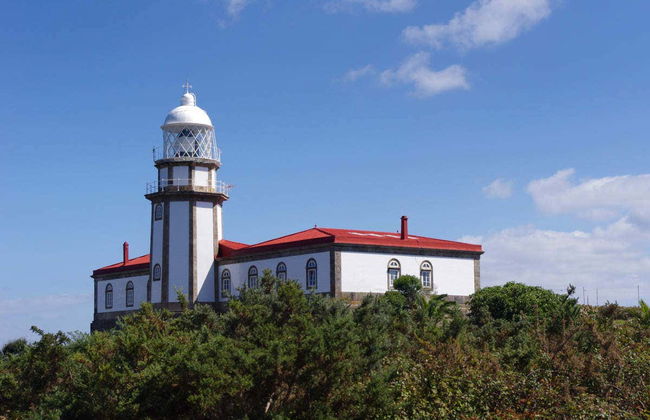 Ons Island Boat Transfer - Photo 4