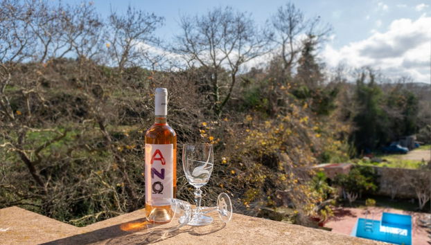 Althea Castle With Swimming Pool - Foto 2, Habitación