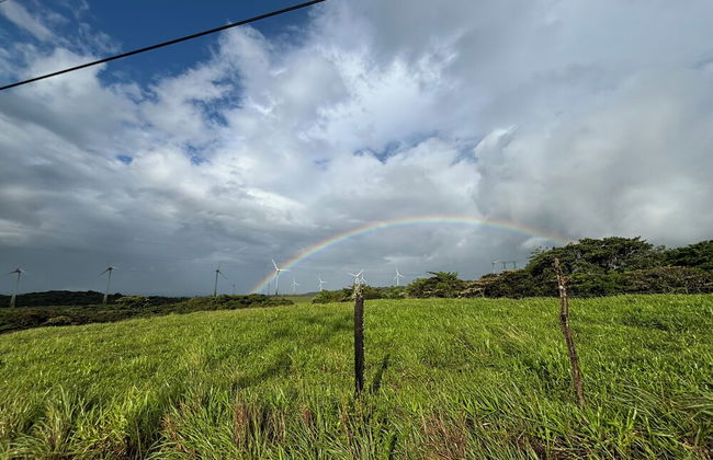 Rincón De Gaetano - Photo 34