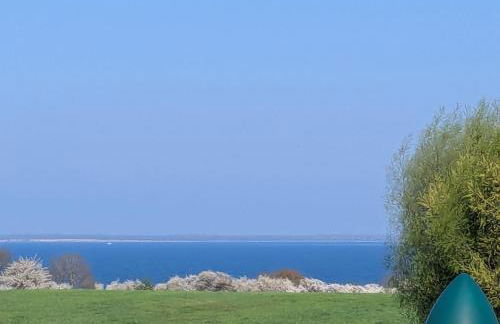 Spatzenhecke - Foto 11