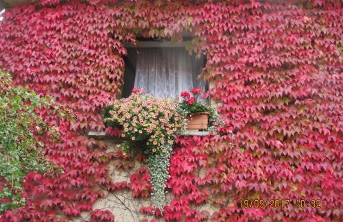 Stadtzentrum , nähe Schloss - Foto 7