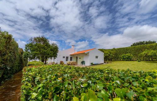 Adega do Mota - Photo 54