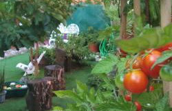 O Cantinho de Góis - Foto 10