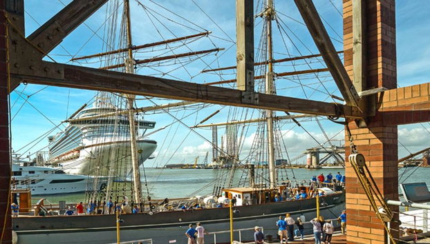 Excursión de día completo a Houston y la isla de Galveston - Foto 3