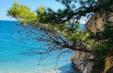 Beach LUXURY - ALTEA Puerto de Campomanes - Photo 52