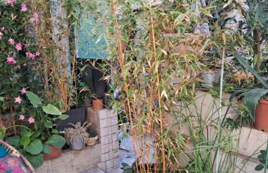 Le Clos du rouet - Foto 13