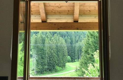 Appartamenti Rì de la Clama Andalo, Barbara - Foto 12