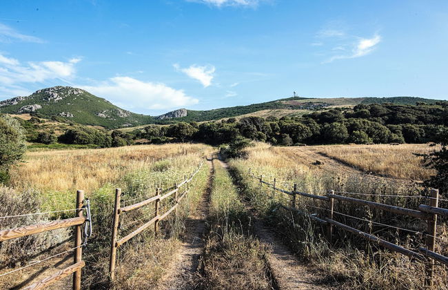 Baddi Di La Predda - Photo 15