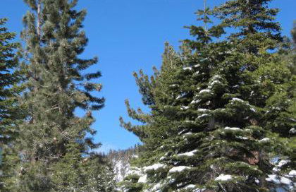 Crestview -B # 46 - Foto 24