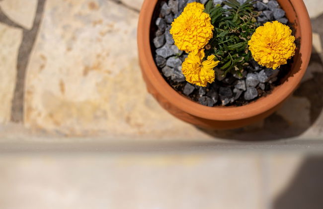 Hotel Aphrodite - Foto 55