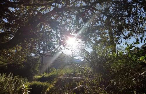 Sítio Preguiça - Foto 47