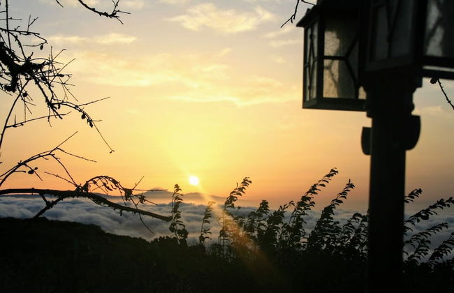 La Casa del Abuelito Julián en El Hierro - Foto 54