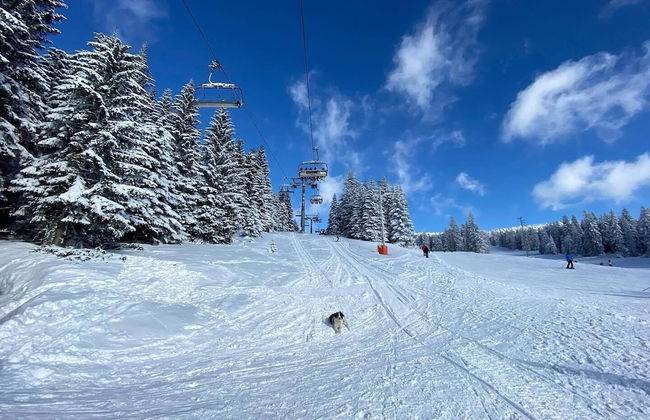 Kopaonik Exit Apartments - Foto 39