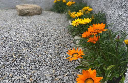 Casa Rocha - Foto 41