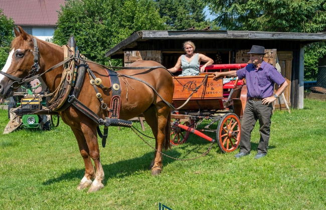 Berguitje met Binnenzwembad - Photo 29