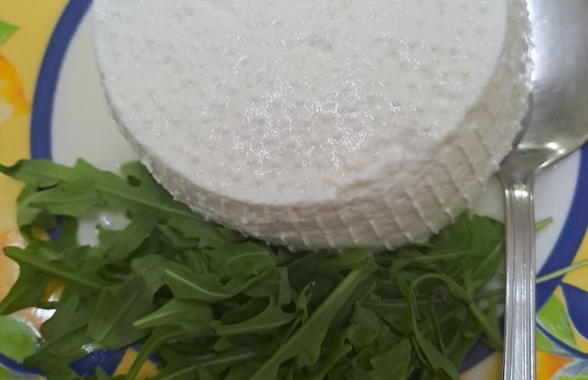 Fattoria Manostalla - Foto 23