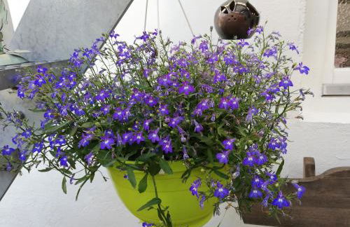 Ferienwohnung Einbeck FeWo B Nolte - Photo 74