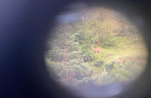 CALMFRANC ático abuhardillado con vistas al río y la montaña Avistamiento de ciervos en Canfranc Pueblo - Foto 39