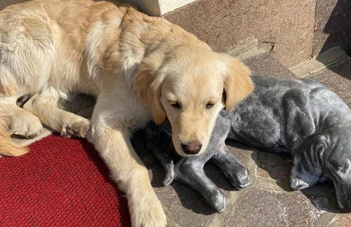 Residence Margreth - Foto 71