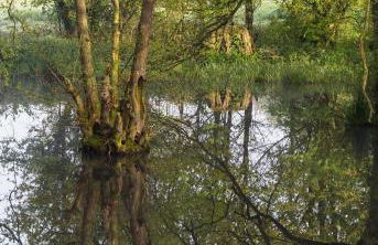 Soulton Hall - Foto 14