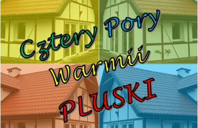 Cztery Pory Warmii Pluski pokoje do wynajęcia - Foto 62