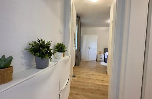 Matek family & studio apartment Rovanjska - Foto 17