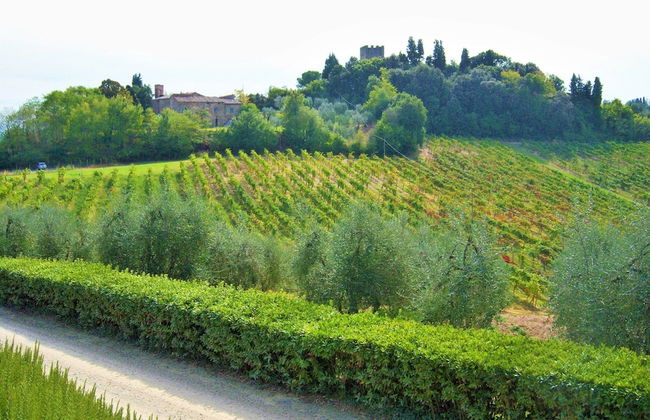 Farmhouse in Tuscany With Pool & Wine Tasting - Foto 29