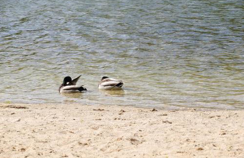 Domek Letni Ryn - Foto 36