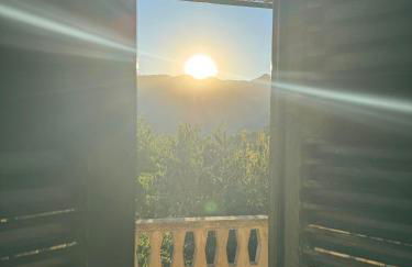 OLIVAR de S’HERETAT Trekking/ruta GR-221 (ETV/2099) - Foto 9