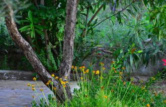 Mirsini Apartments - Foto 50