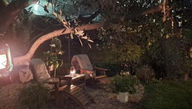 Il giardino segreto - Foto 2