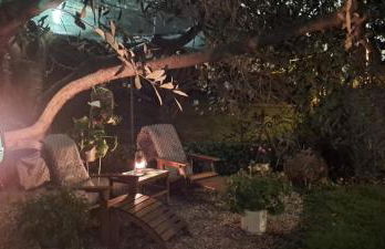 Il giardino segreto - Foto 2