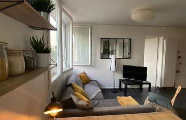 Charmant appartement quartier école d’agronomie - Photo 32