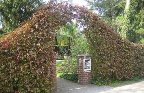 Wohnen im Eulengarten - Foto 20