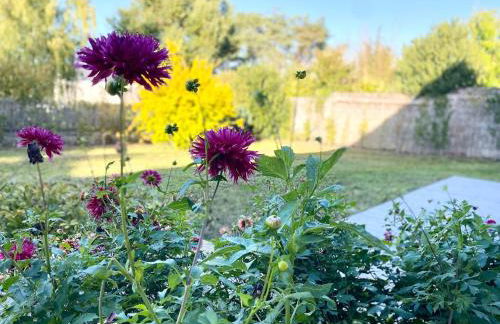 La Parenthèse des Guillonnières Gîte 4 à 6 personnes - Foto 34