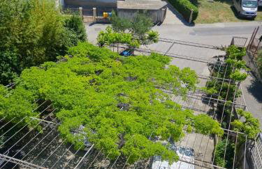 Apartment Frane - Foto 14