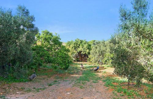 Casa Las Toscas - Foto 12