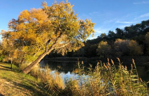Appartement sur les toits, très jolie vue Provence - Foto 13