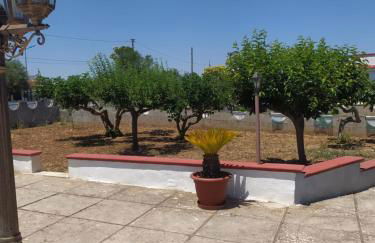 Villa Camilla e Donato - Foto 44