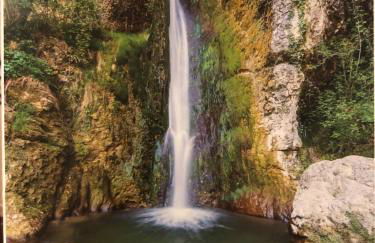 Appartamento Rosegarden - Foto 61