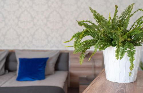 Komfort Zone - Foto 75